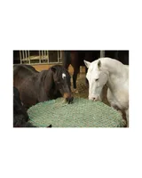 Heunetz für Rundballen - Bild 3